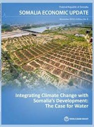 Recent Developments in Somalia's Economic Landscape