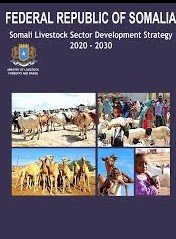 Investing in Resources for Pastoral Development in Somalia